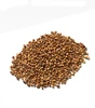 16-30 mesh Granular Walnut Shell Filter Media for removal oil from water