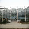 Large Area Multi Span Agriculture Glass Greenhouse For Vegetables/Cucumber/Tomato/Parsley
