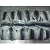 well trimmed of pacific mackerel butterfly fillets