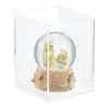 acrylic model display case
