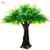 Decorative new design artificial banyan/ficus tree for parks clubs attractions