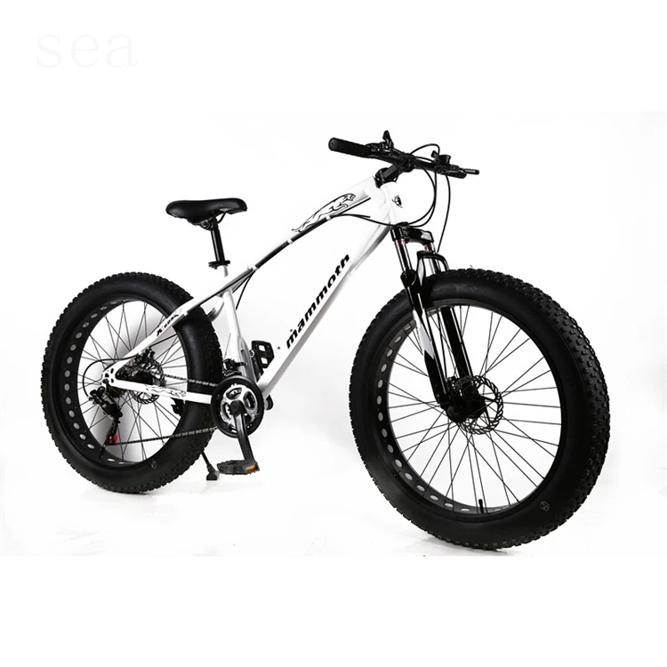 large tyre mountain bike
