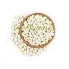 New crop good quality dried large white kidney beans
