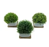 Set of 3 Artificial Plastic Mini Plants in White Ceramic Pot with Bamboo Tray for Home Deco