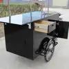 /product-detail/new-energy-solar-vehicles-retro-mobile-electric-coffee-bike-coffee-tricycle-for-sale-62098467150.html