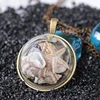 Fashion vintage Sea Shell Starfish/conch Chunky Necklace pendant/charm including chain