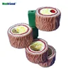 Four-piece Artery Model Artery Model Progressive Set Cholesterol Atherosclerosis