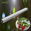 China Hydroponics System T5 T8 40mm Width 1x54W Single Tube Fitting Reflector 4 Feet Long Fluorescent Fixture Micro Grow Light