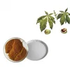 Supply free samples natural plant extract Horse Chestnut Extract Buckeye Seed Powder Aescin 20%-98%