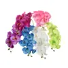 Marriage Simulated Flowers Moth orchid Photography Artificial Flower phalaenopsis plants