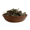 Dried herbs siegesbeckiae herbal medicine XI XIAN CAO