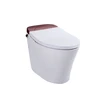 Cheap auto save power warm water Japanese Toilet
