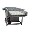 Commercial Date Cleaning Machine Tomato Washing and Cleaning Machine