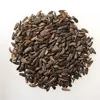 Touchhealthy supply crude medicine chinese herbs Great Burdock Achene,Fructus arctii,niu pang zi for sales