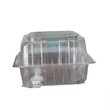 clear PET food grade disposable plastic clamshell / disposable plastic punnet