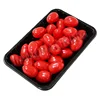 Black PS Plastic Disposable Frozen Food Tray