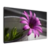 Nova p5 p5.95 p6 p6.25 p8 p10 outdoor led display billboard /led video wall +video processor+sending box
