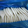 wholesale Fresh frozen squid for sale indonesia squid squid tube