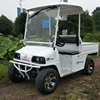 /product-detail/chinese-2-passengers-electric-farm-utility-vehicle-62113154580.html