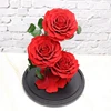 Big Size Preserved Fresh Flowers Glass Dome Real Roses Long everlasting Preserved Roses With Stem In Glass For Birthday Gifts