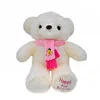 New Designs OEM Custom Motorcycle Toys Promotional Mini Soft Big Plush Teddy Bear