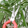 /product-detail/hand-tools-cutting-scissors-garden-shears-for-garden-62097876642.html