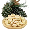 Top quality pine nut pakistan/pine nut kernels/pine nut