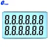 TN 12 Digit Fuel Dispenser Lcd Display