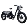 /product-detail/high-quality-e-bike-3-wheel-48v-500w-750w-electric-fat-tire-tricycle-62078875534.html