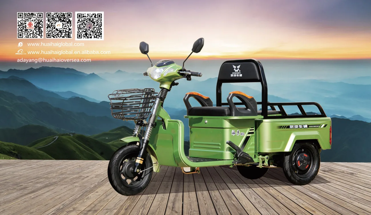 3 Wheel Cargo Electric Scooter