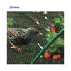 china wholesale top quality new HDPE garden newest design low price bird nets for catching birds