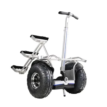 two wheel scooters for adults
