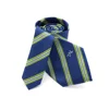 Elegant Green Striped Ties Navy Blue 100% Polyester School Tie Men Custom Design Necktie