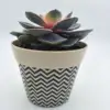 mini bamboo fiber flower planter pots for indoor plant