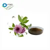 Red Clover P.E Powder