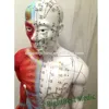 Acupuncture Points&Muscle Model Acupuncture Point Model 55CM model of a human body showing Chinese acupuncture points Male Human