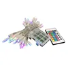 5M 50L Decorative Christmas Tree LED Light String Beer Injection Type Outdoor Waterproof Holiday Light String
