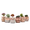 2.5 Inch Owl Pot Ceramic Flowing Glaze Base Serial Succulent Plant Pot with A Hole set of 6