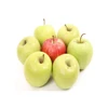 shanxi best price bulk apples whole sale supply