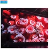 Excellent Resolution P2.5 SMD 2121 Black RGB LED Module