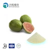 inhibit the growth of cancer cells guava flavour powder