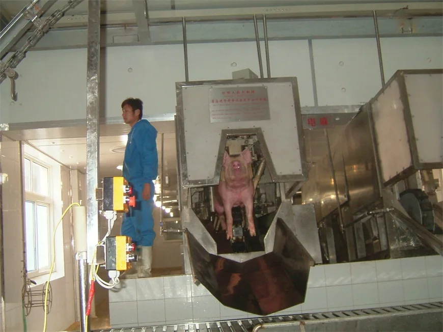 Automatic three-point electric stun machine for pigs in slaughterhouse