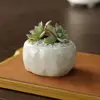 APHACATOP Creative mini oval stone cut plant flower pot