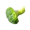 List Of Vegetables Agricultural Products Healthy Frozen Broccoli