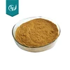 Latest Batch Stock Panax Ginseng Extract