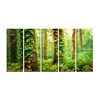 5 Pcs Spring Green Forest Wall Decor Arts Canvas Painting for Living Room