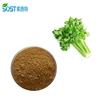 Organic Celery Juice Powder 98% Apigenin Celery Seed Extract