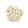 China market price spanish navy white alubia kidney beans dried