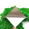 Home Hotel Decoration Stabilized Natural Preserved Green Moss Wall