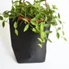 Washable Kraft Paper Storage Bag for storage of fruit bread rolls pot plants Shopping Paper Bag